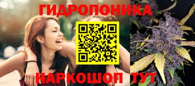 СК Вязники