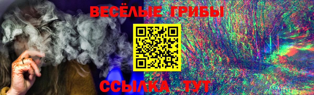 Псилоцибиновые грибы Magic Shrooms Владикавказ