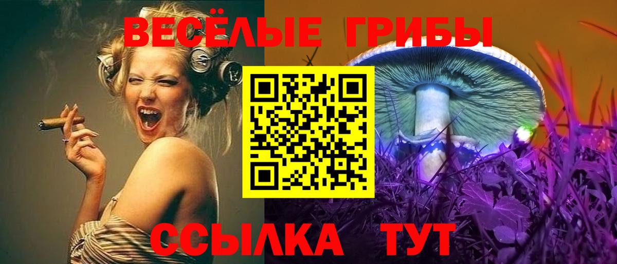 Галлюциногенные грибы MAGIC MUSHROOMS  Вход с VPN  Владикавказ 